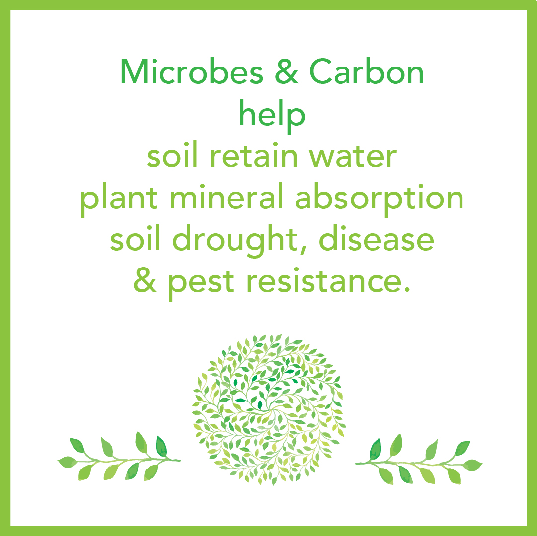 Microbes and Carbon.jpg
