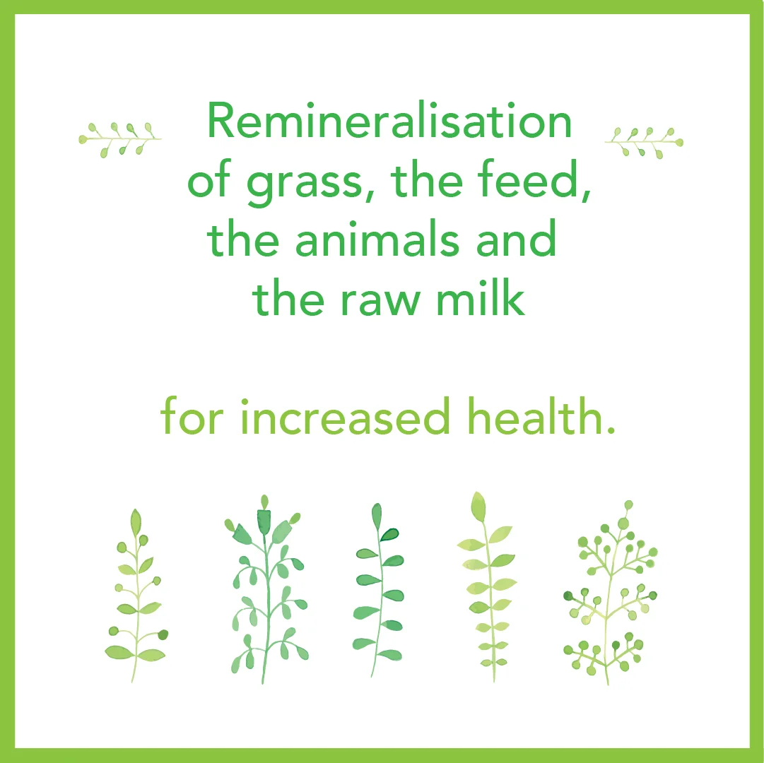 Remineralisation of grass 2.jpg