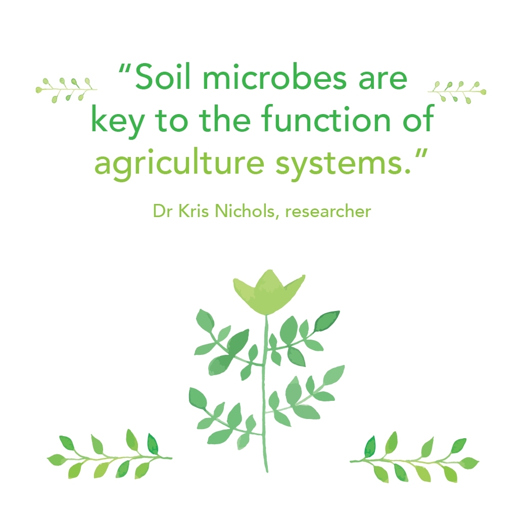 Soil microbes are key 2.jpg