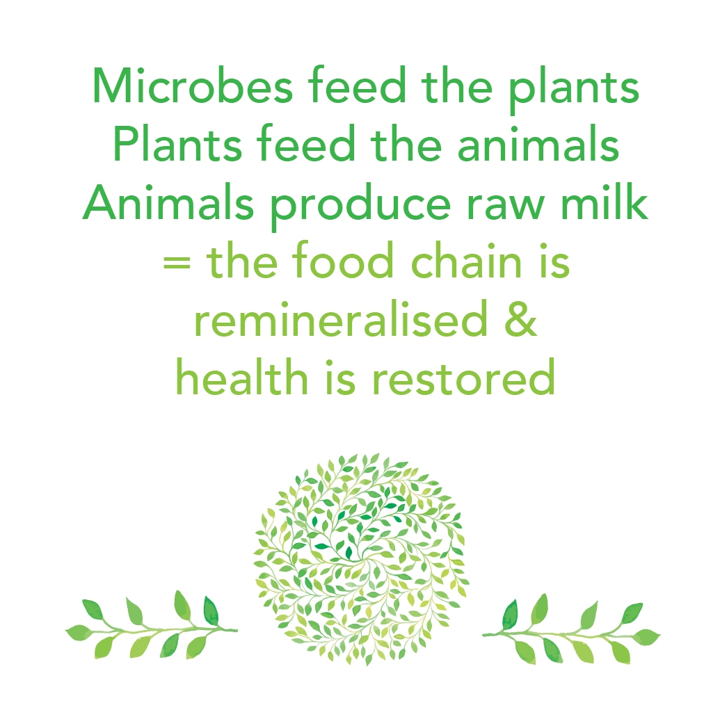 Microbes feed the plants.jpg