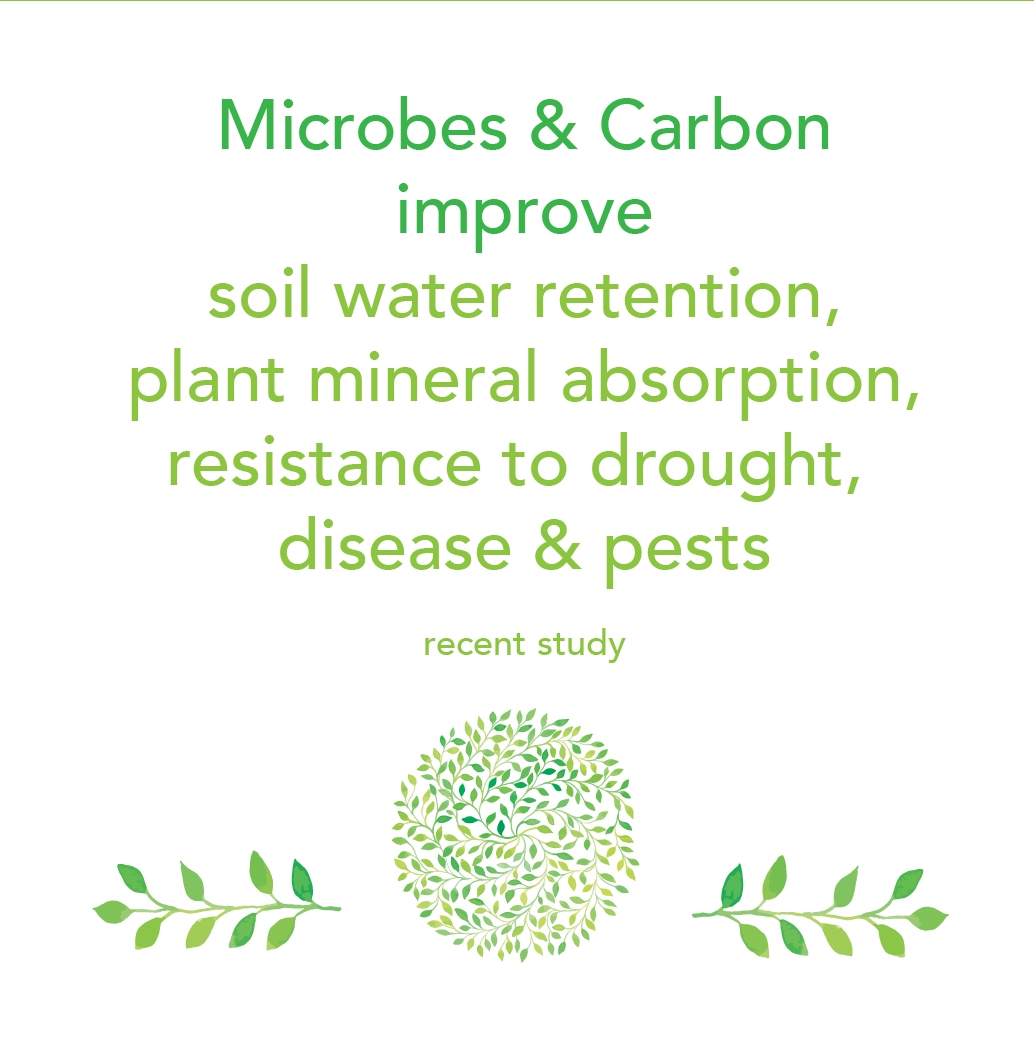 Microbes and Carbon 3.jpg