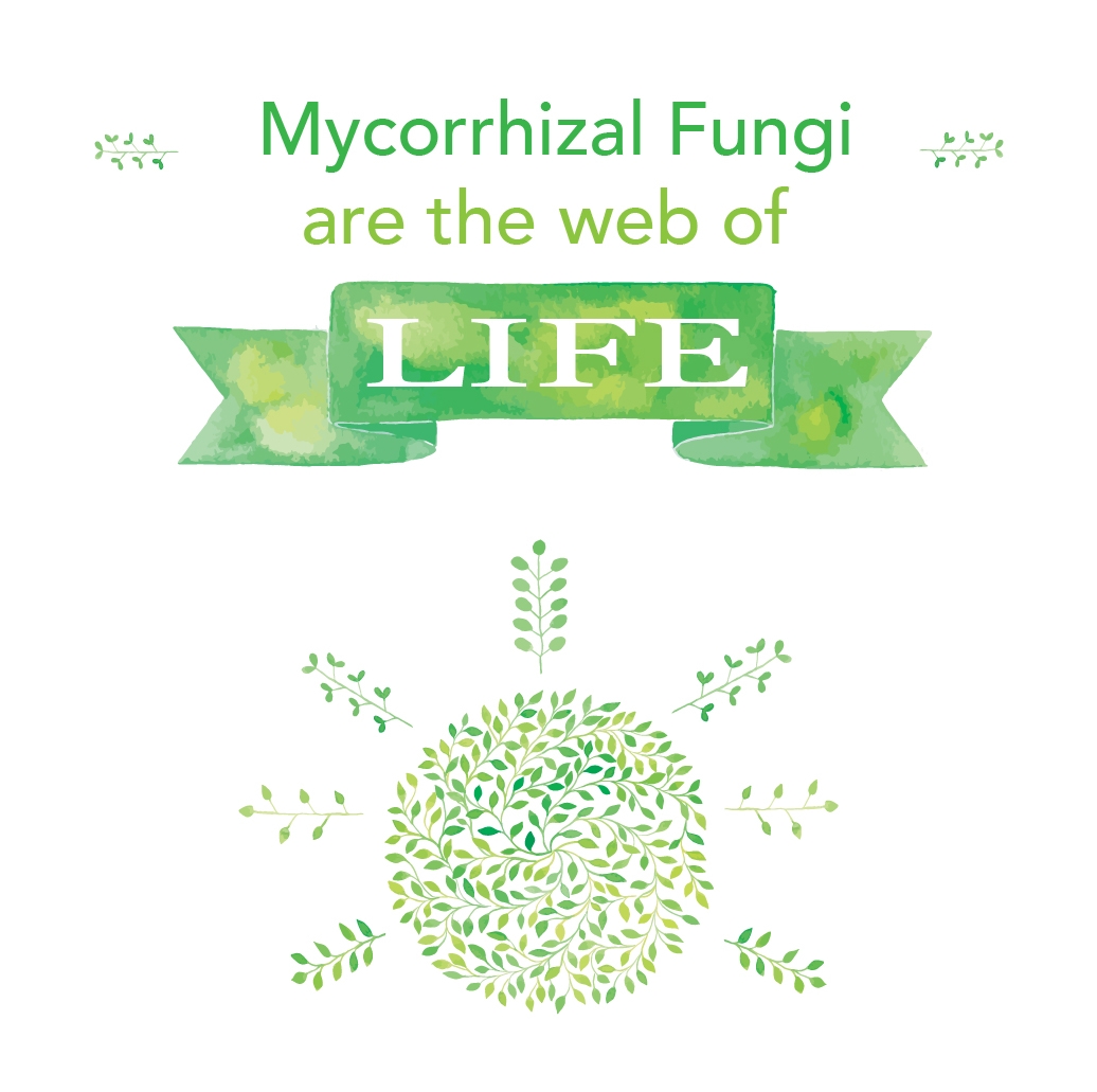 Mycorrhizal.jpg