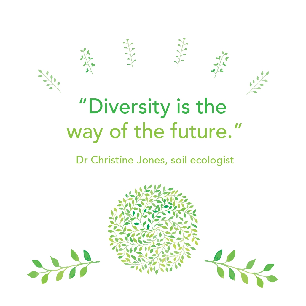 Diversity is the way of the future.jpg