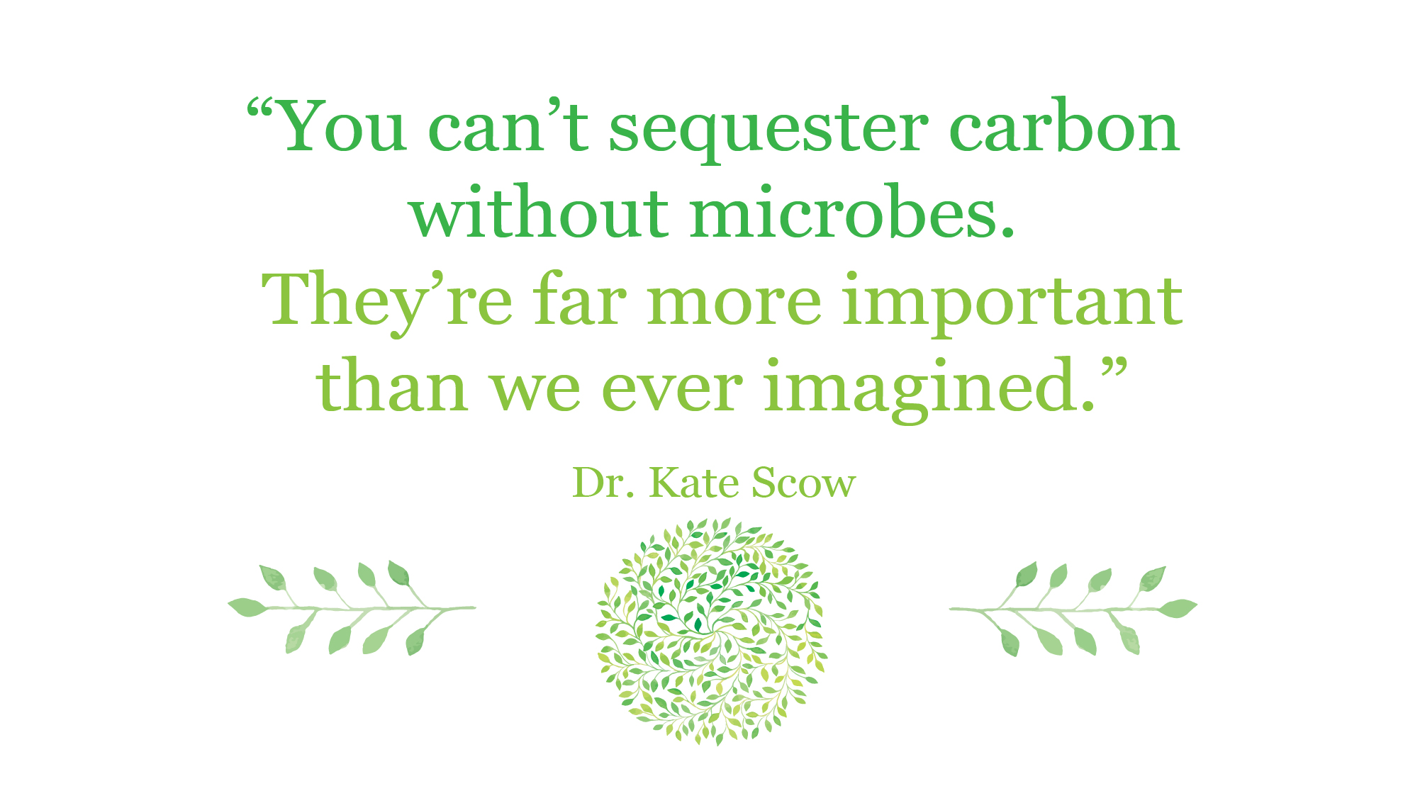 You cant sequester carbon.jpg