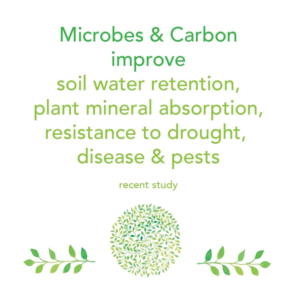 Microbes and Carbon 3.jpg