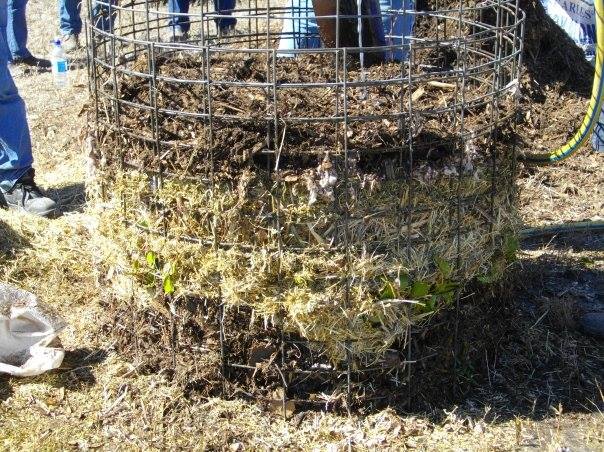 Image: A compost heap, click to enlarge images.