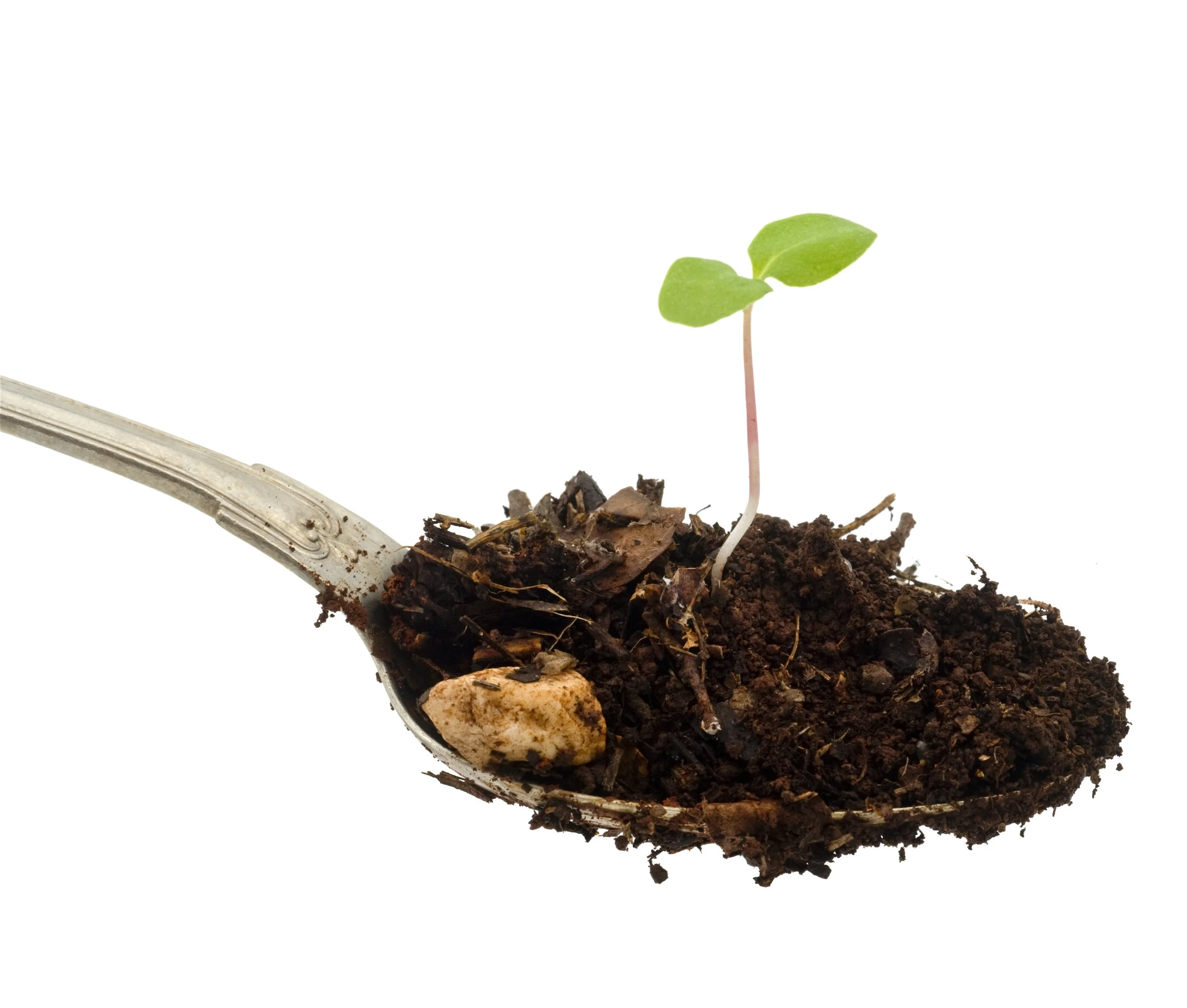 Image: one teaspoon of soil contains more microbes than there are people on earth.