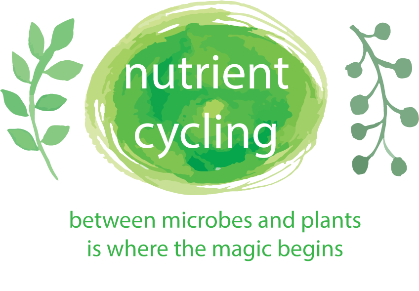 Nutrient Cycling banner.png