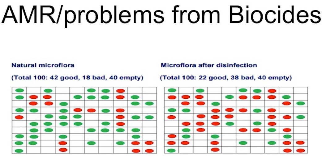 Image : A snapshot from Aled’s video presentation, showing the typical nature of a terrain before and then after a terrain has been disinfected with a biocide. The green dots represent the good, and the red the bad microbes. He says the result is often the quick return of bad microflora because of biofilm in the terrain. Click to enlarge.