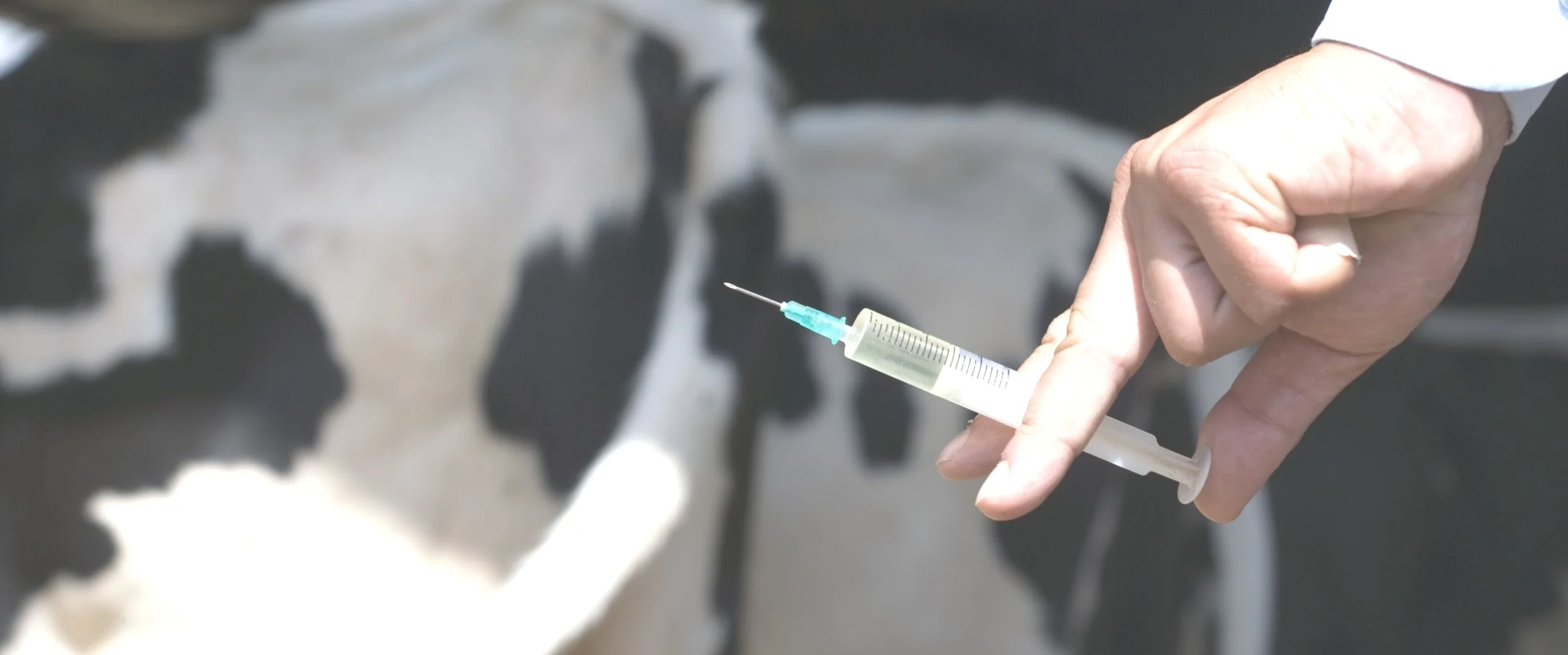 AdobeStock_72531676+vaccine+vaccinate.jpg