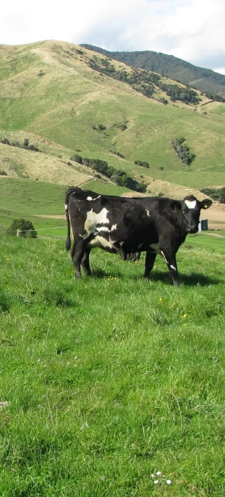 pasture+to+profit.jpg