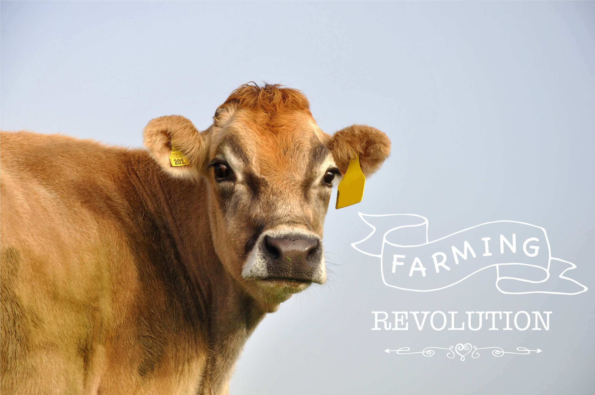 Farming Revolution.jpg