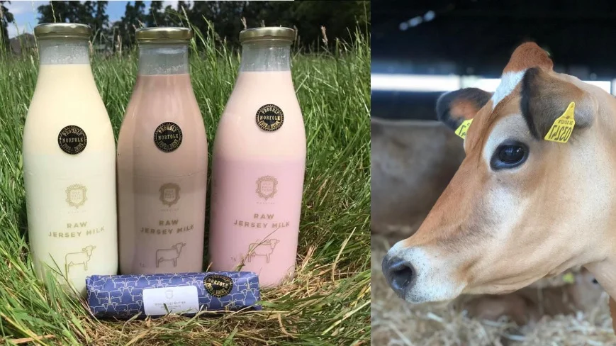 Ethical And Organic Dairy In Australia Directory Australian Raw Milk Movement