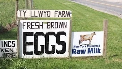 Ty Llwyd Farm - Long Island Raw Milk