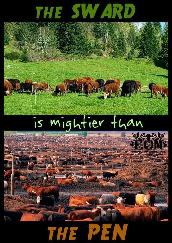 Image: image by EOM-Ethical Omnivore Movement , click to enlarge. Sward noun \ ˈswȯrd \ Definition of sward 1 : a portion of ground covered with grass 2 : the grassy surface of land.