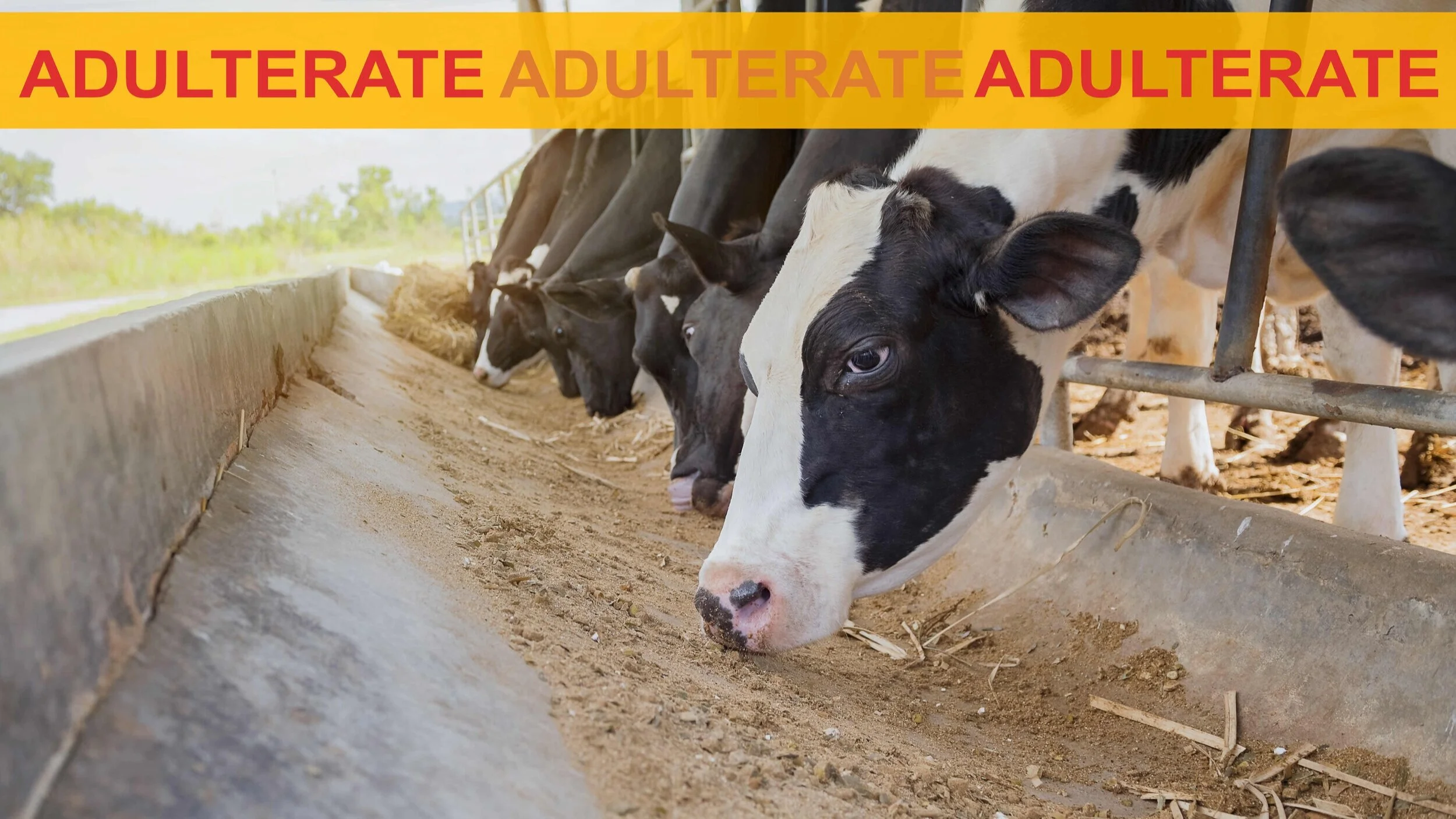 Adulterating beneficial methane-producing bacteria in cows a climate change solution? Think again…