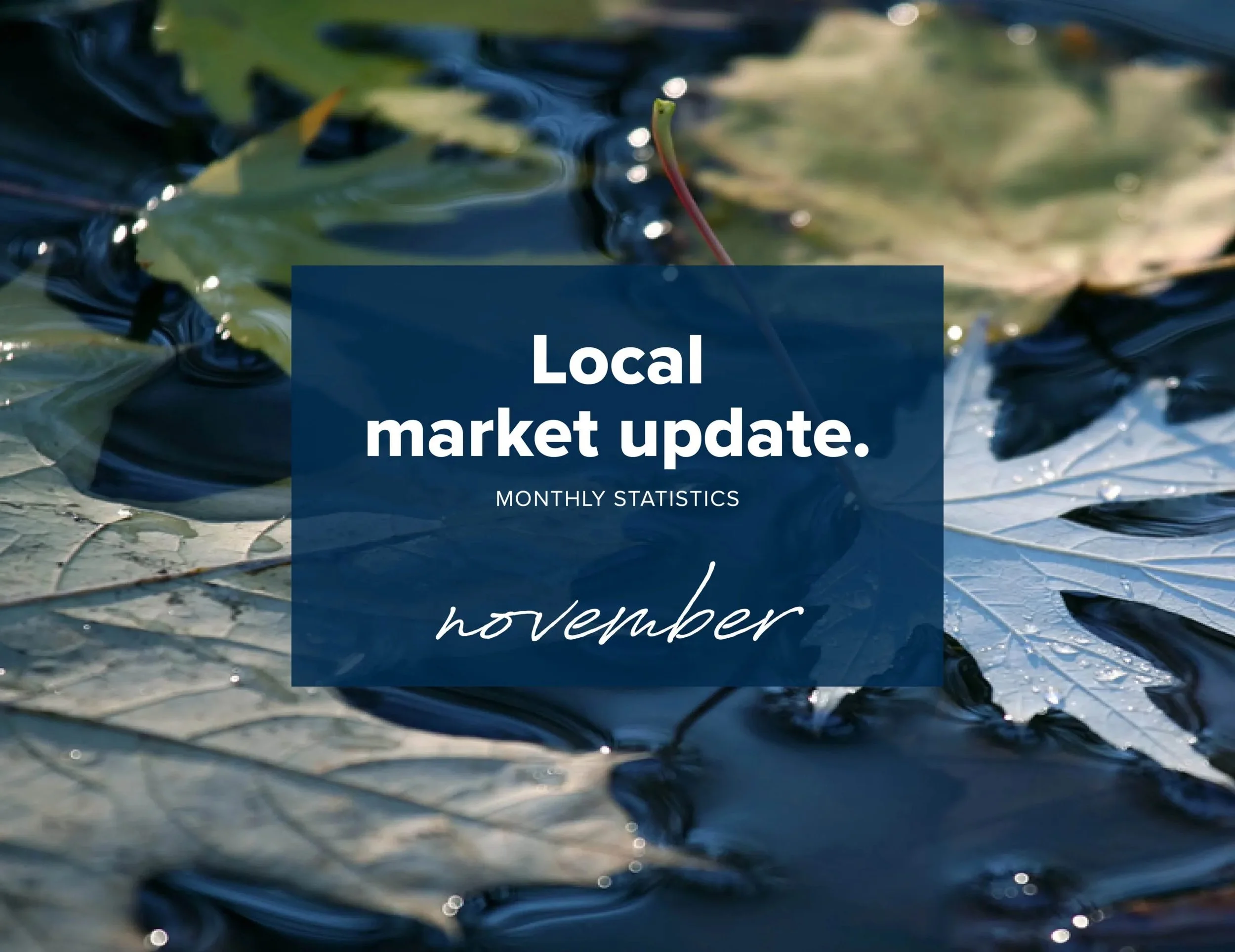 Local Market Update – November 2024