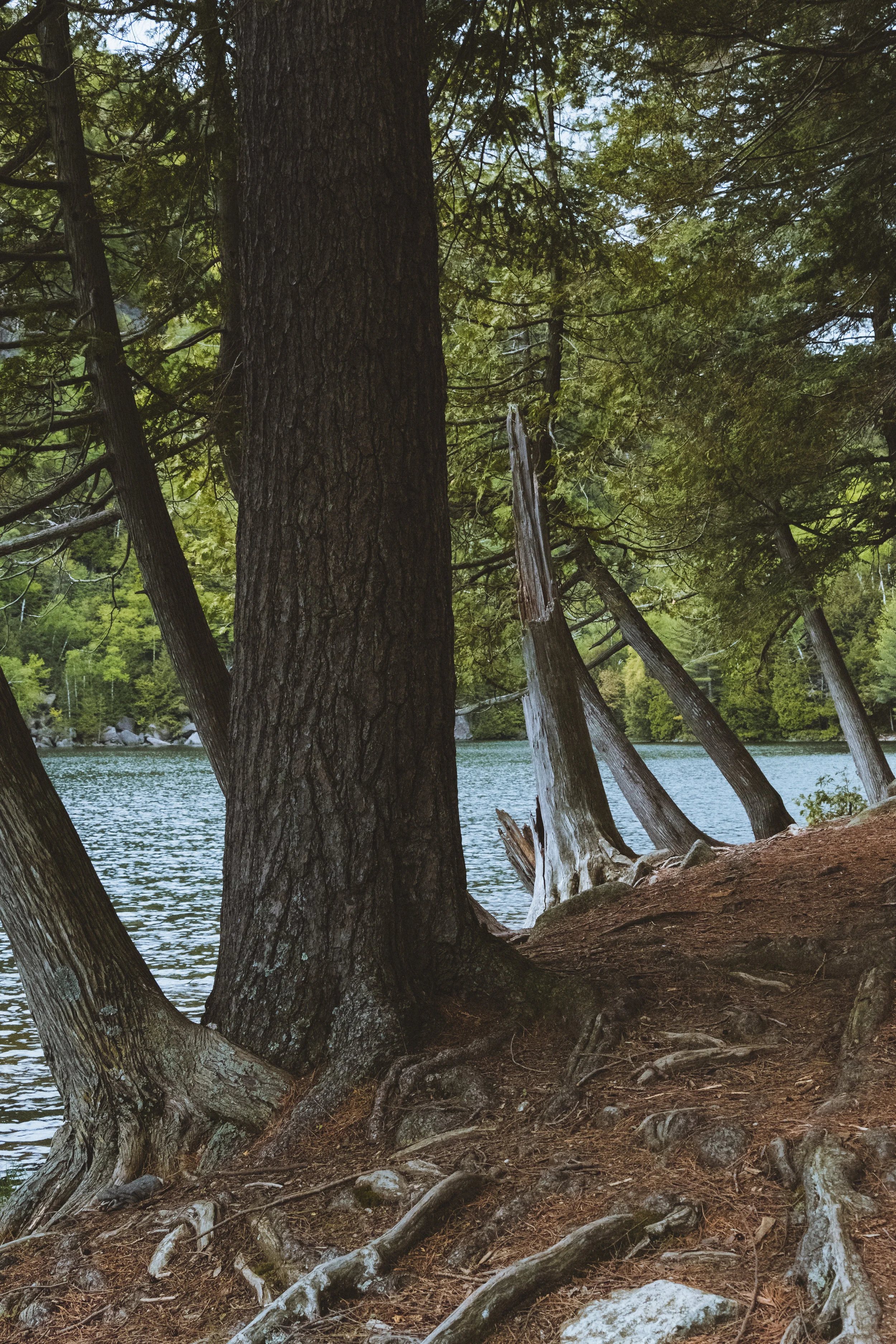 Chapel Pond