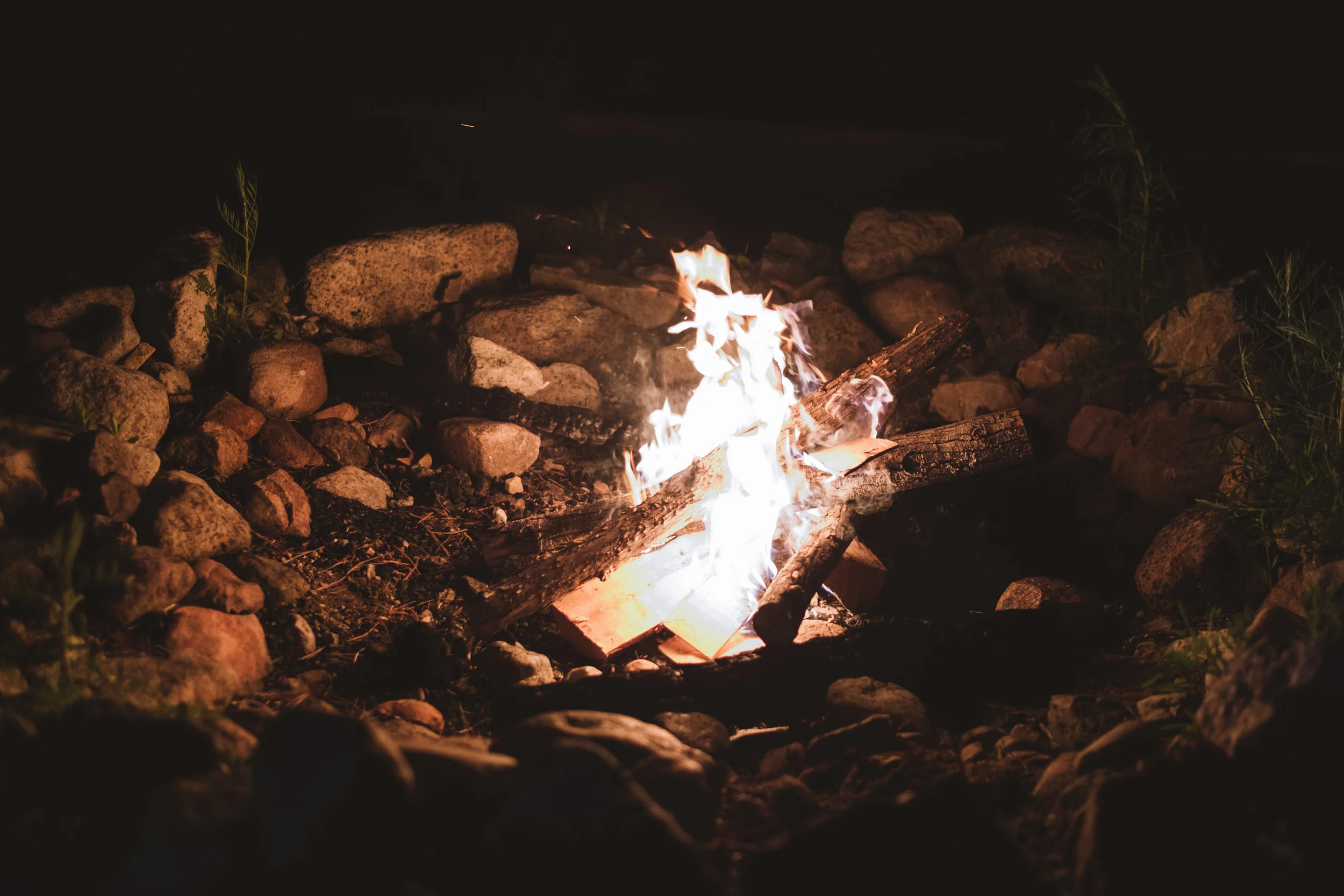 DSCF3438.jpg