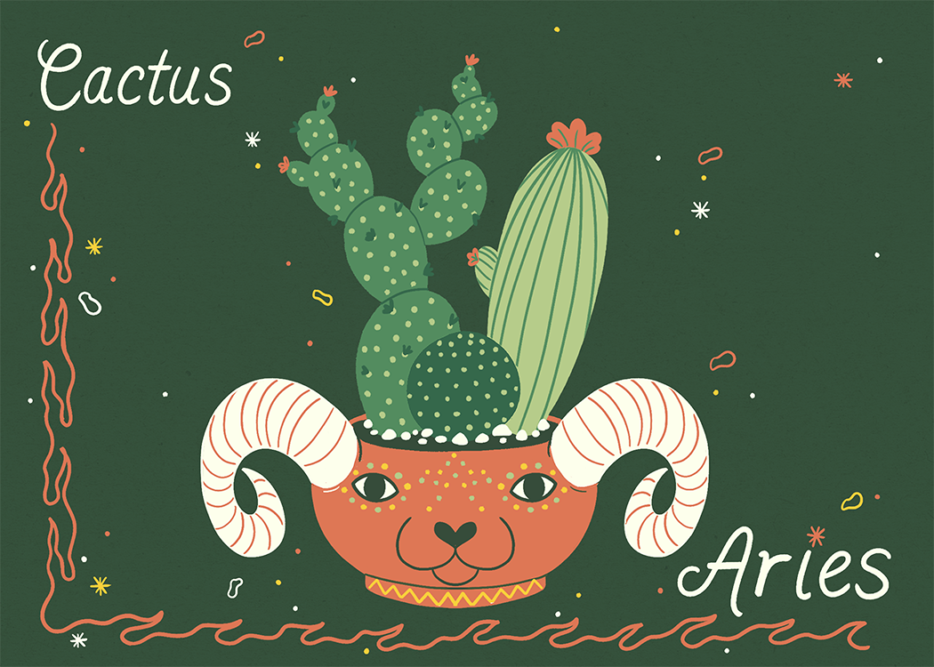 Aries_Cactus.png