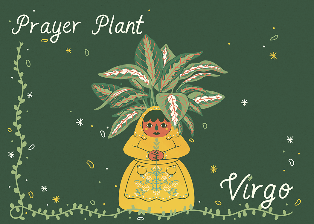 Virgo_PrayerPlant.png