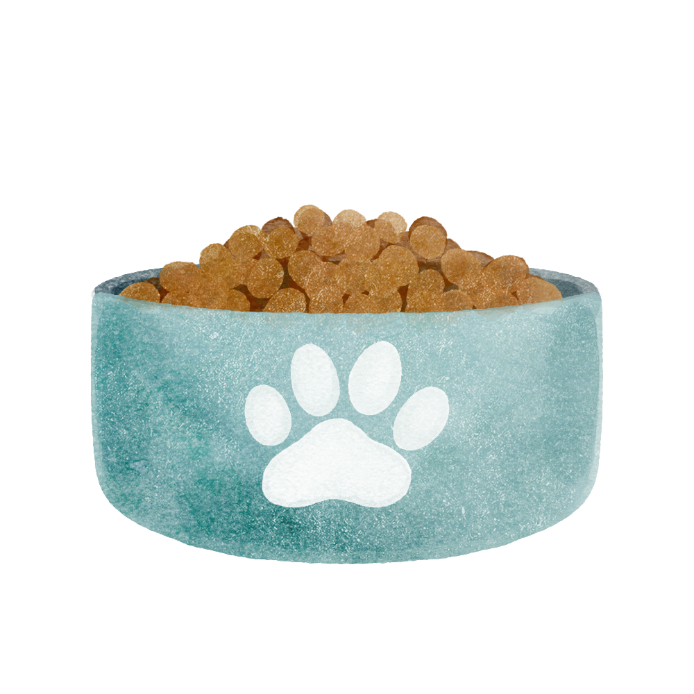 SprucePets_Bowl.png