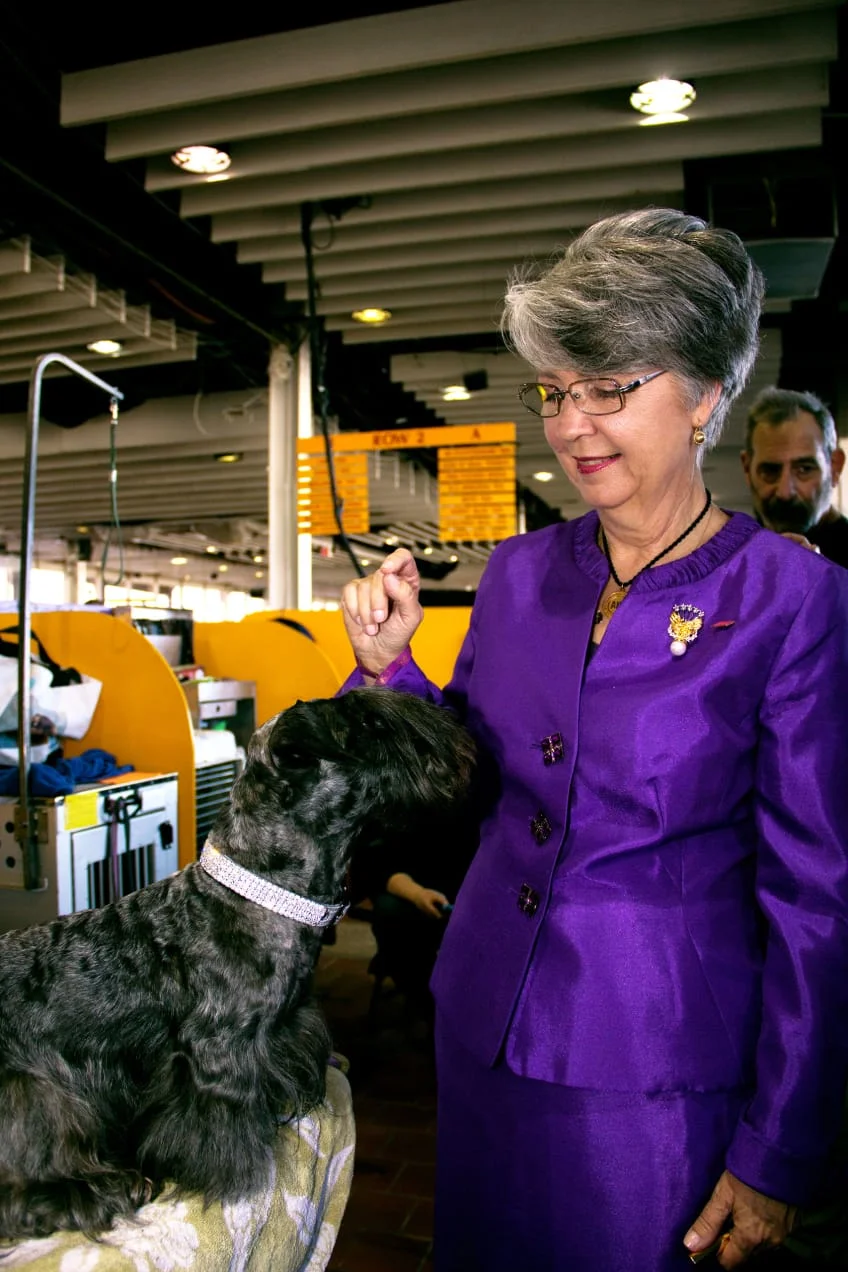 180213-brockway-westminster-dog-show-backstage-21_xn2ueq.jpeg