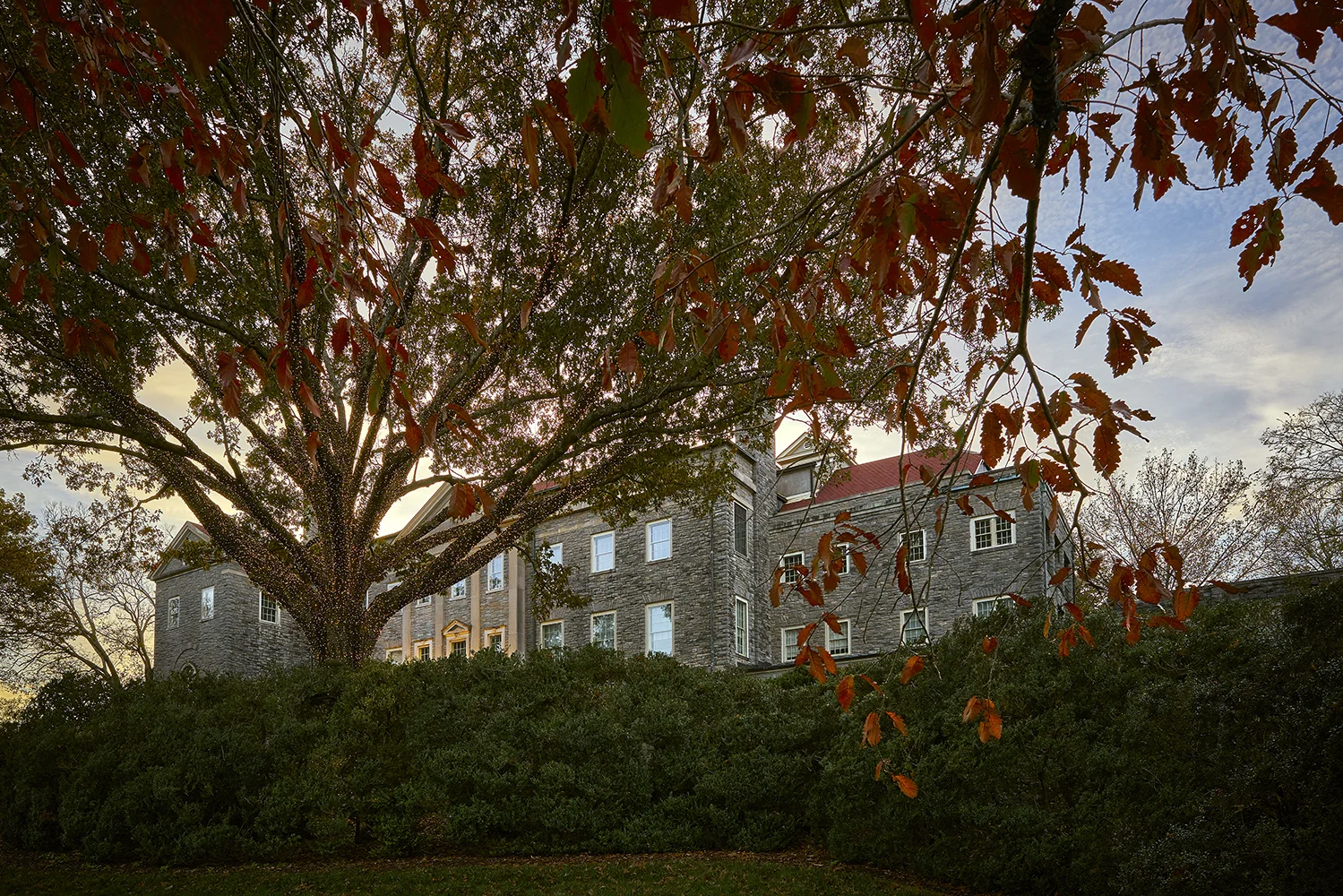 _DSC6648.jpg