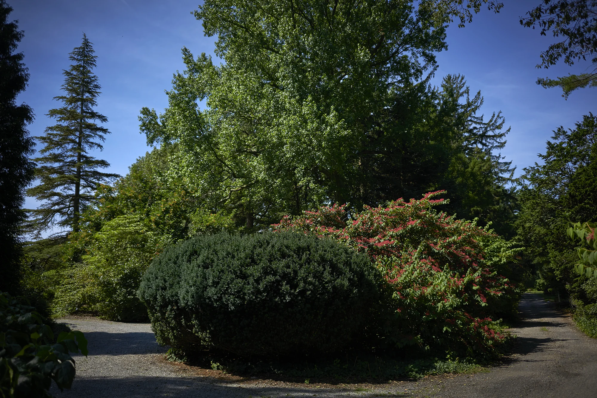 _DSC0905.jpg
