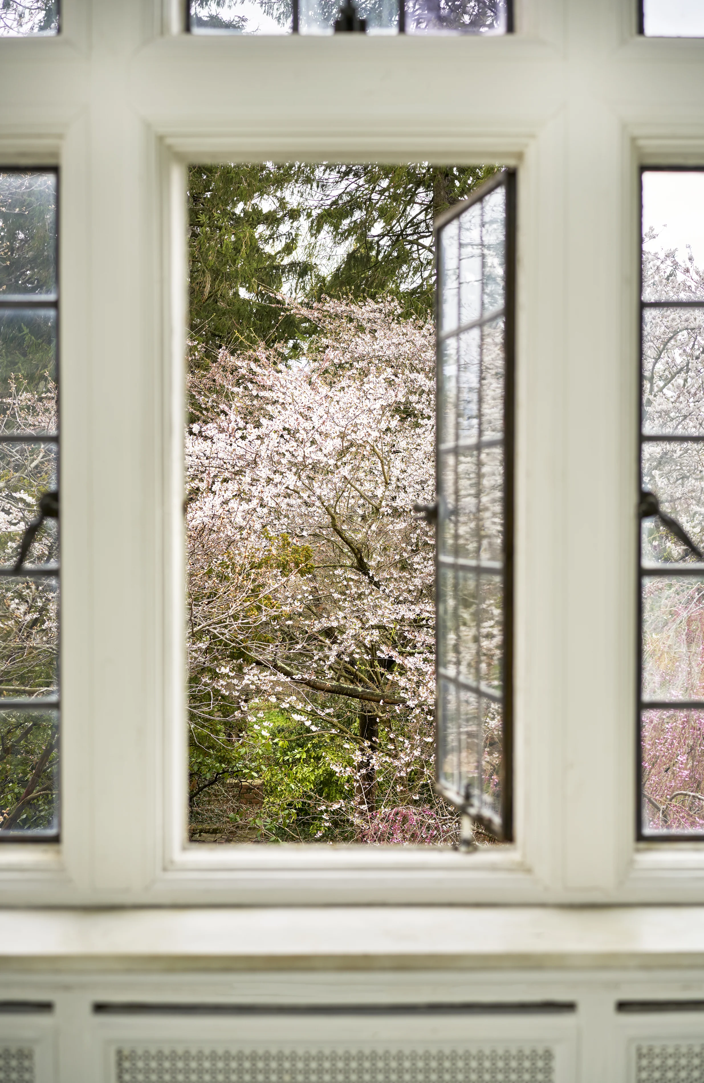 PF rooms0286.jpg