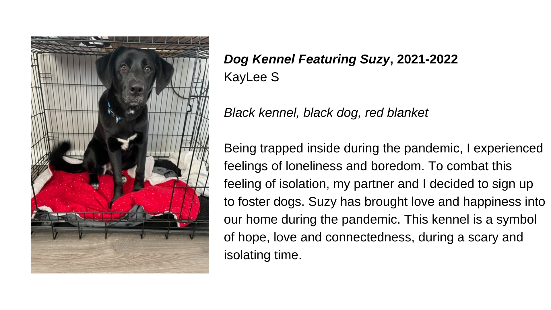  A black dog sitting on a red blanket in a kennel. Next to it, the text “Dog Kennel Featuring Suzy, 2021-22 - KayLee S. Black kennel, black dog, red blanket. Being trapped inside during the pandemic, I experienced feelings of loneliness and boredom. 