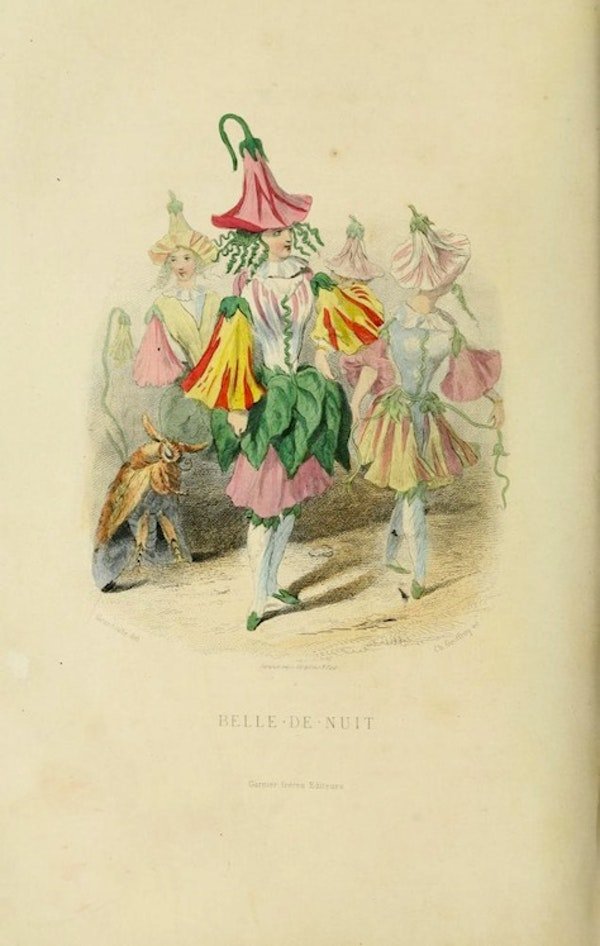 Smell - The Flowers Personified (1847) 2.jpg