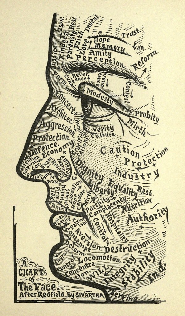 Smell - Diagrams from Dr Alesha Sivartha's Book of Life (1898) Chart of the face.jpg