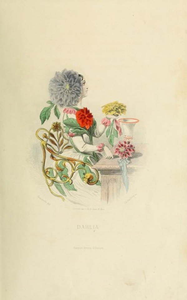 Smell - The Flowers Personified (1847) 3.jpg