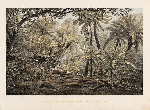 Stroke - Eugène von Guérard's Australian Landscapes 1867.jpg