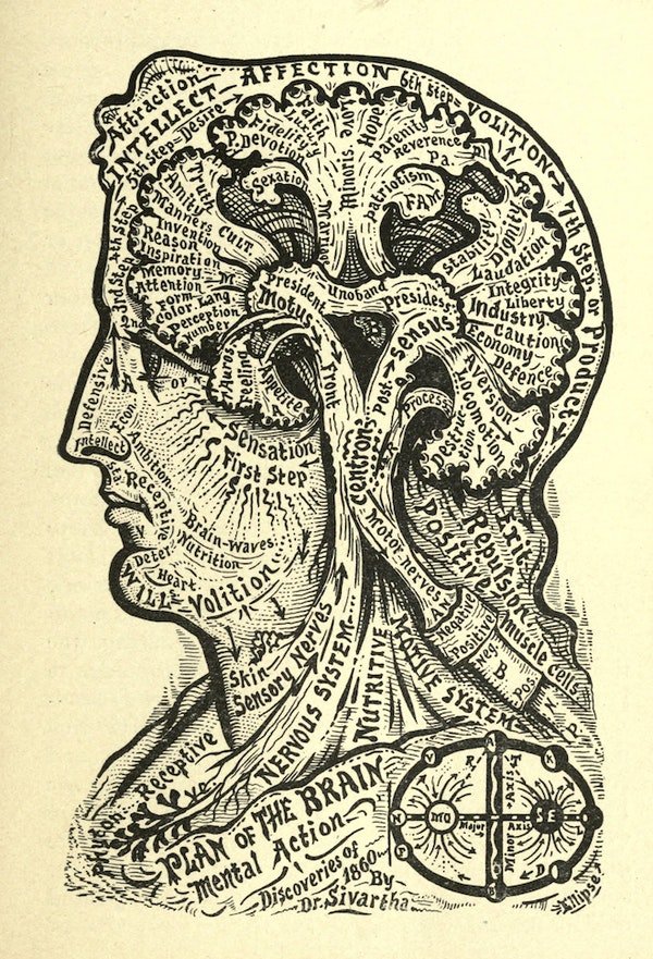 Space - Diagrams from Dr Alesha Sivartha's Book of Life (1898) Plan of the Brain.jpg