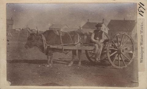  A Winnipeg Water Works employee with ox and cart, circa 1871 