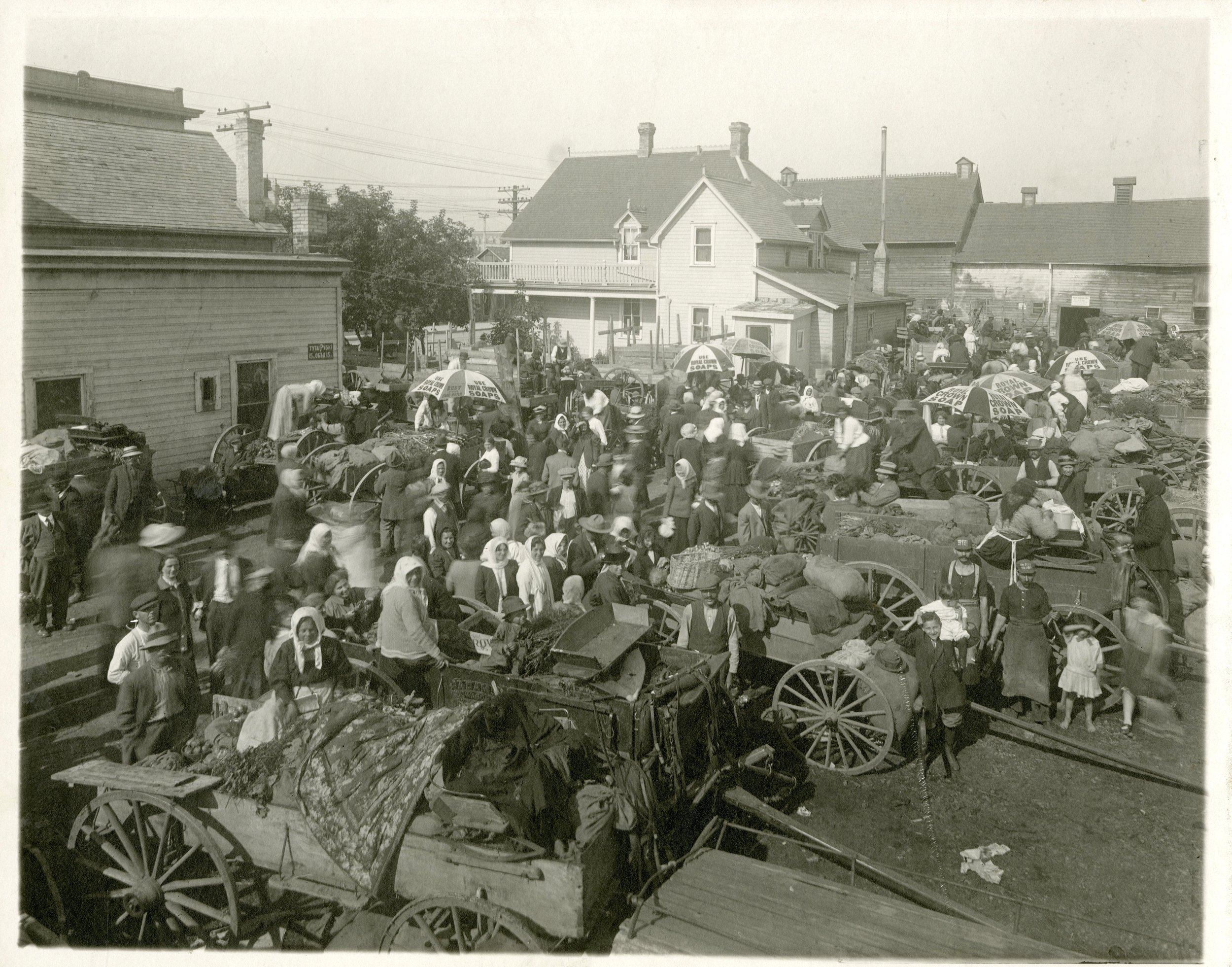  A photo of a Winnipeg farmer’s market in the early 1900s 