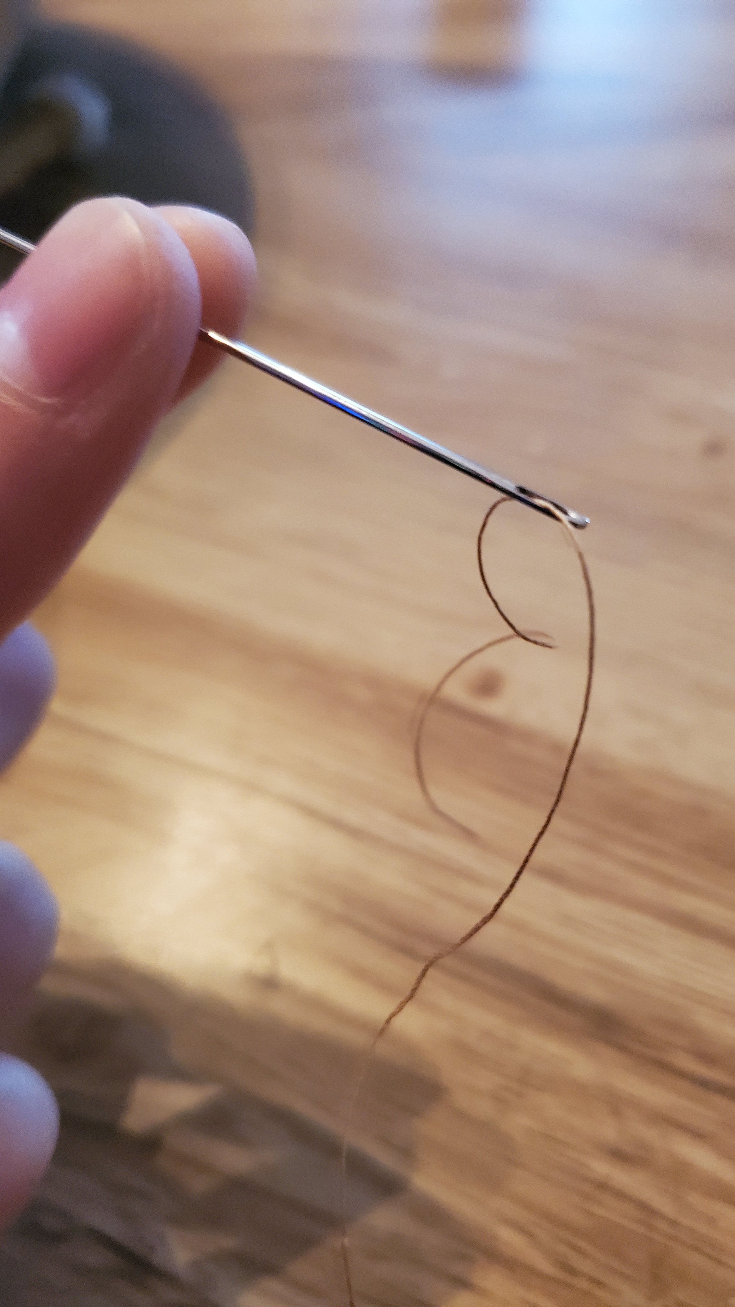  Cut a string of thread to the length you would like your garland to be and thread it through the needle 