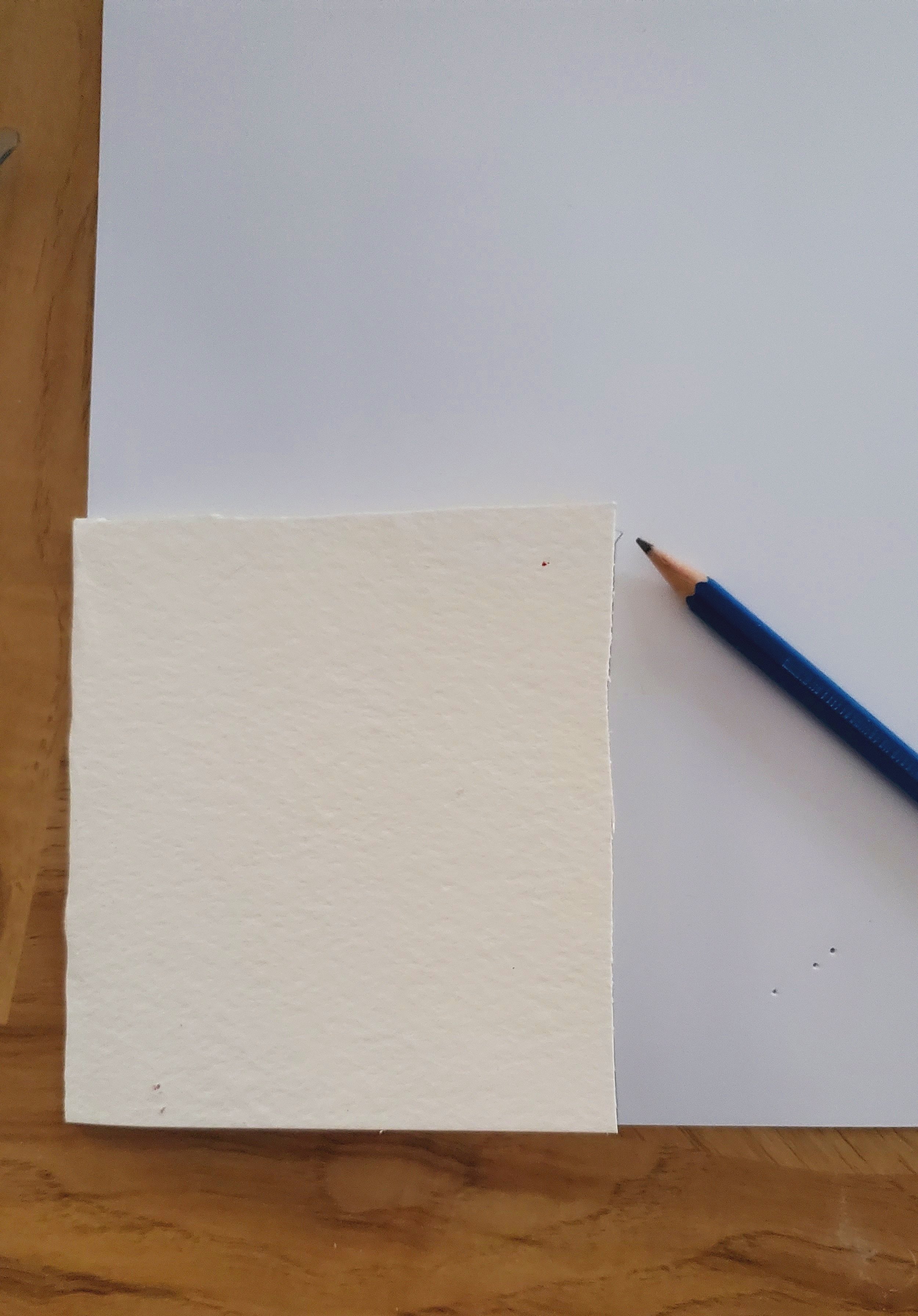  Trace the size of the card on the sheet of printer paper 