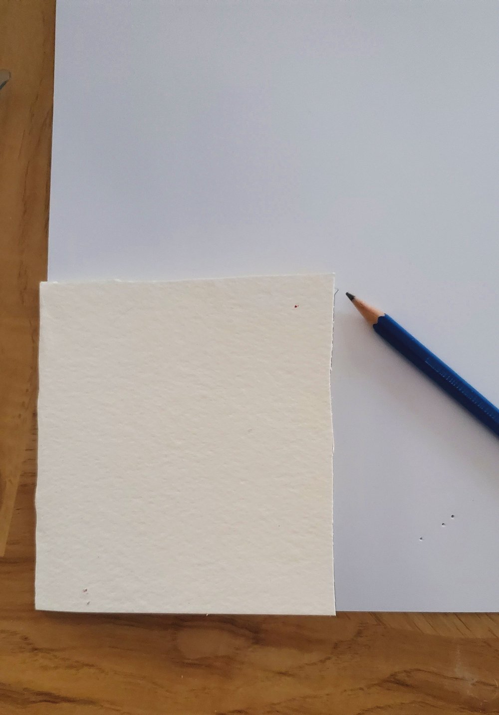  Trace the size of the card on the sheet of printer paper 