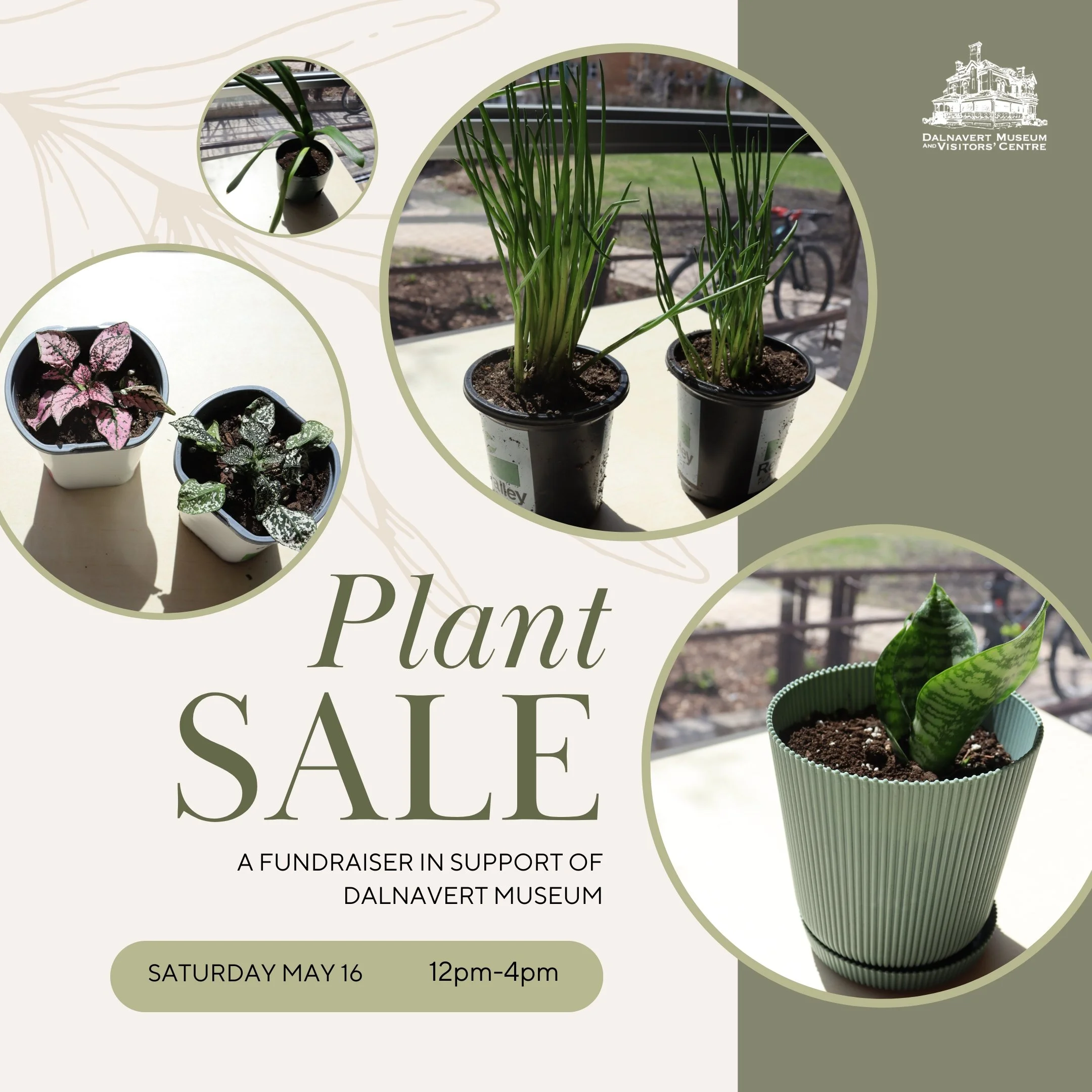 Plant Sale