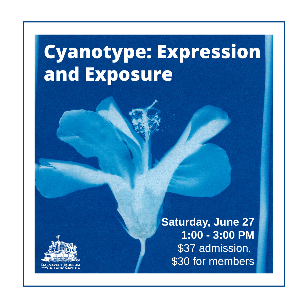 Cyanotype: Exposure and Expression