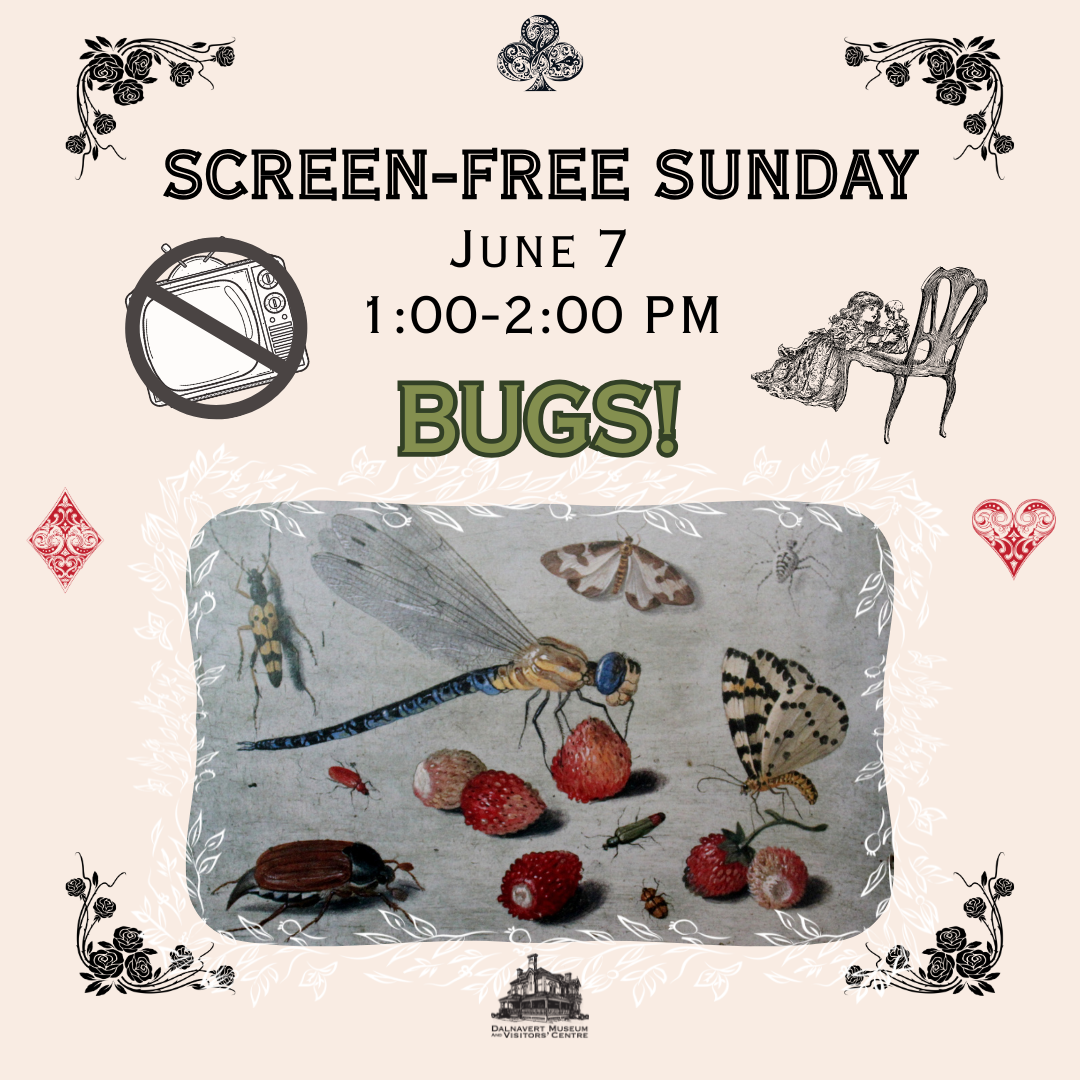 Screen-Free Sundays: Bugs