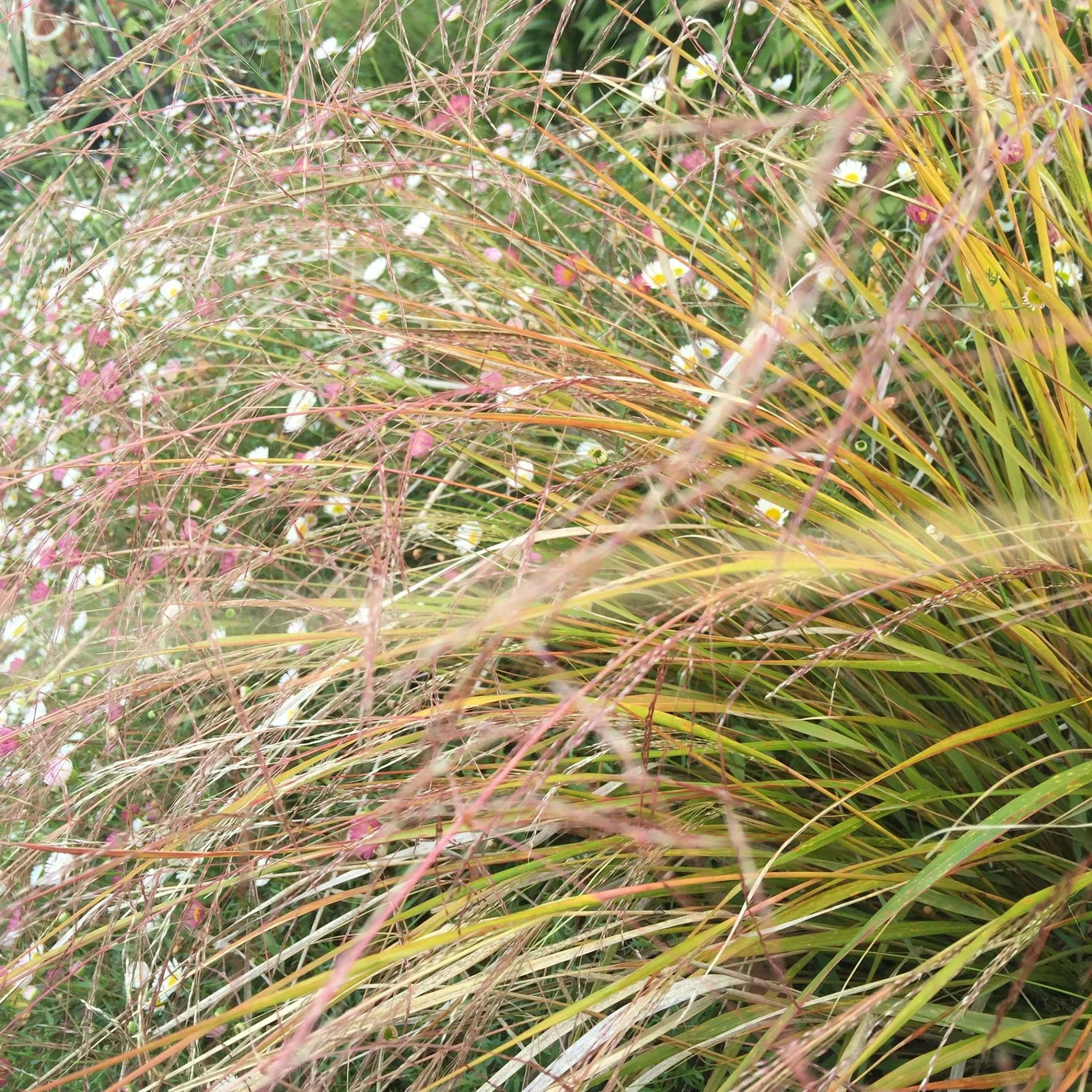 Why you should get your free credit report