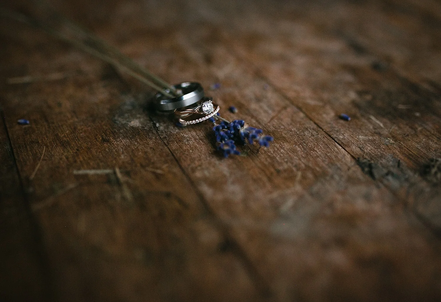 lizbrandon_rosebankwinery_newtown_summer_wedding_image_118.jpg