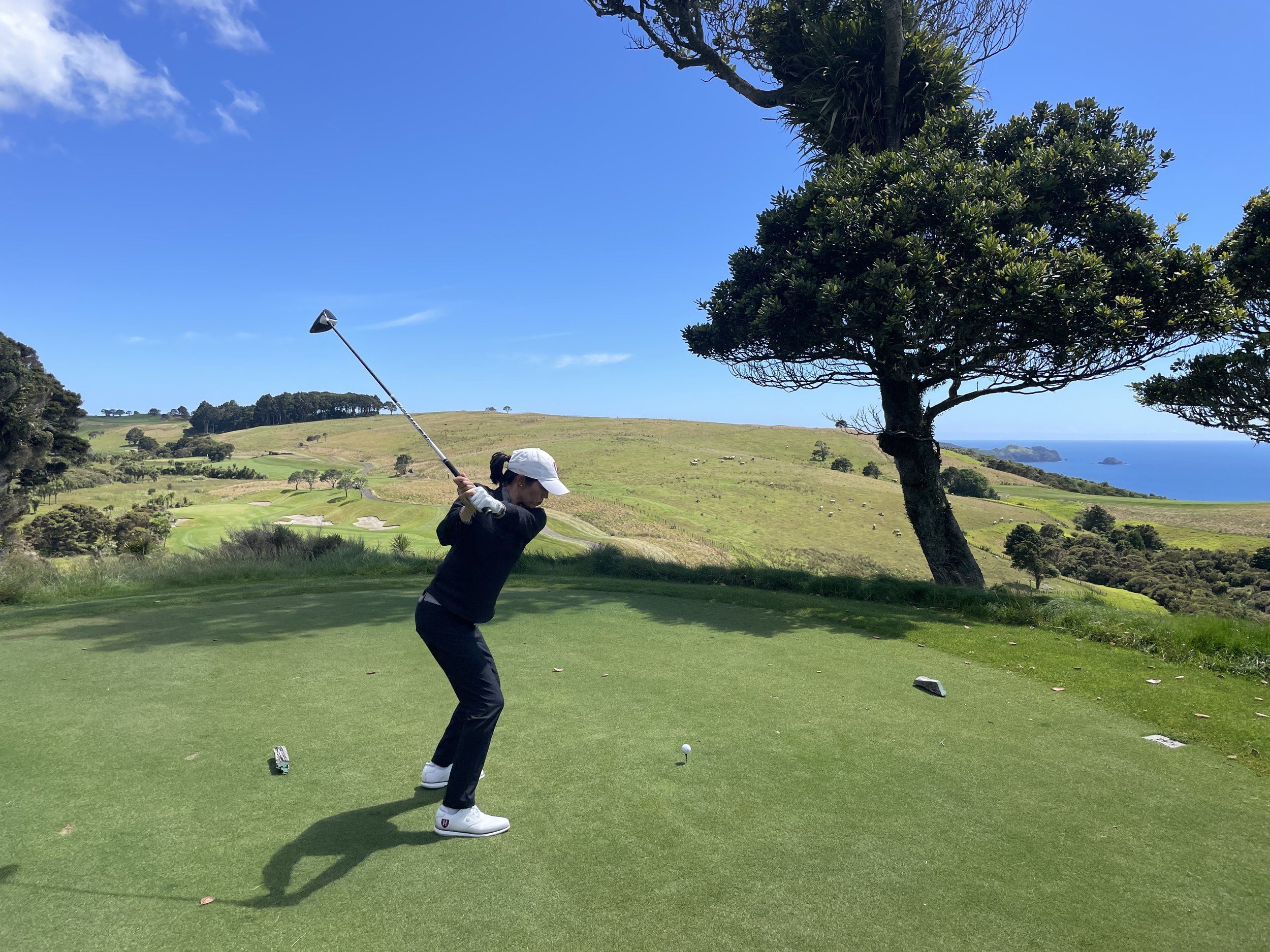 Kauri Cliffs ns driver 3.JPG