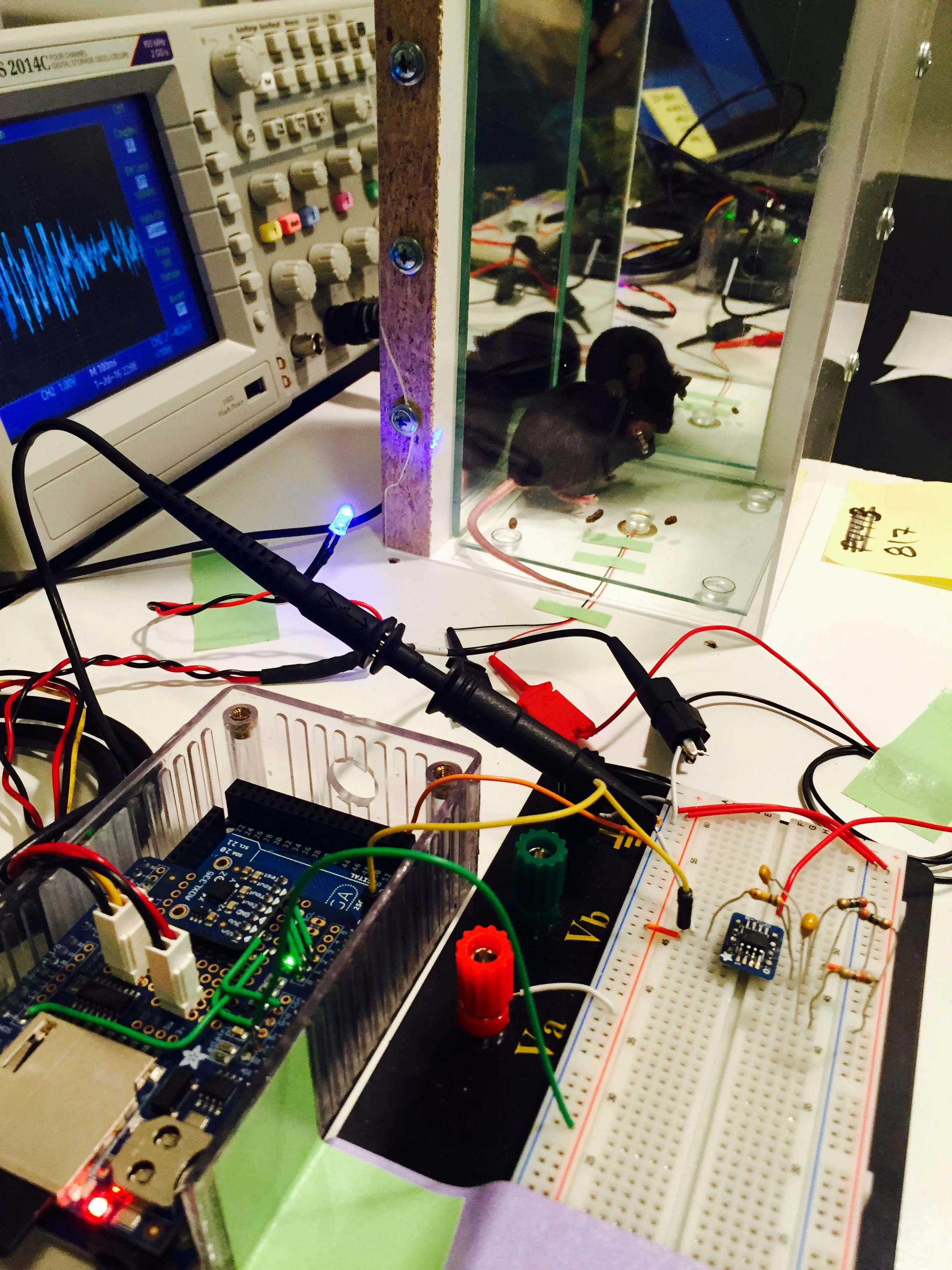 Piezo Tremor Detector