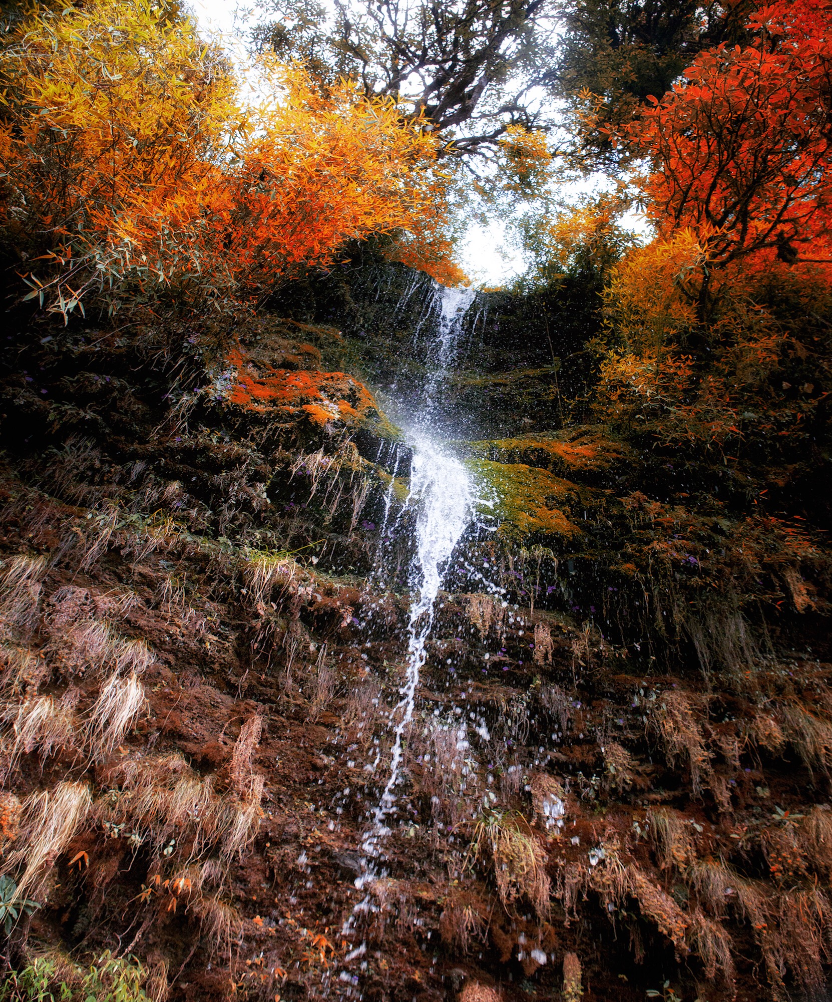 Nov 9.4, 2016Water fell from the Rhododendron Forest. Through the Deurali Pass the hills teetered and toyed with 3,000 metres. The approach to Ben Thanti weaved against high slate with a quick stream echoing rosey sandstone and goldleaf.