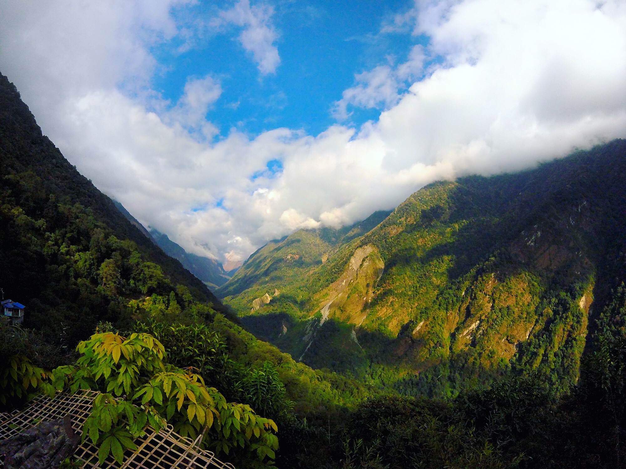 Nov 10.3, 2016 A net descent to Sinuwa, the first camp on the direct path to Annapurna Base Camp. Gray langurs, a type of Old World monkey, were perched in the forest trees; outlined by their silver coats, hidden behind their charcoal faces. Still valleyed, we have cold mornings, hot middays, and cold evenings. That meridian star.